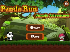 Panda Run - Jungle Adventure Image