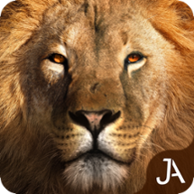 Safari: Online Evolution Image