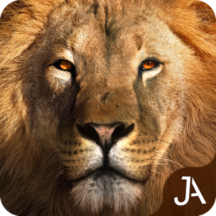 Safari: Online Evolution Game Cover