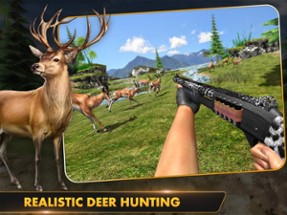 Wild Deer Hunt Games Image