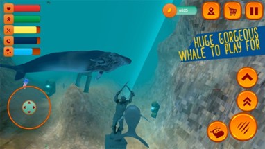 Hump Back Whale Ocean Sim Image