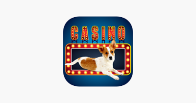 Lucky Pup Wild Casino Image