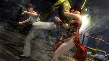 Dead or Alive 5 Image