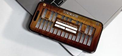 Professional Xylophone Image