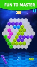 Hexagon Block - Tetra Puzzle Game Free Image