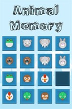 Memotest Animal Memory Image