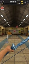 Arrow Master: Archery Game Image