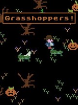 Grasshoppers! Image