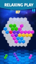 Hexagon Block - Tetra Puzzle Game Free Image