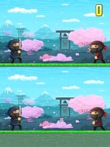 Ninja Fight Training Image