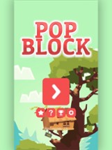 Pop Block - Quick Puzzle Game Image