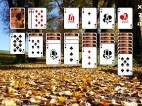 Solitaire - Patience Fall Image