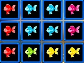 1010 Fish Blocks Image