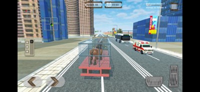 Animal Transport Horse Games Image