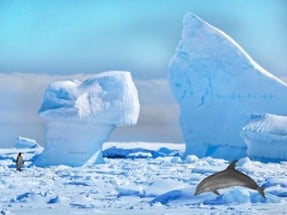 Antarctic Dolphin Escape Image