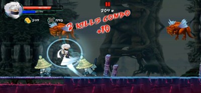 Ninja Assassin Revenge Image