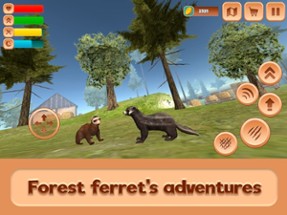 Ferret Forest Life Simulator Image