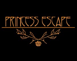 Princess Escape Image