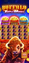 Big Fish Casino: Slots Games Image