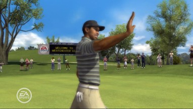 Tiger Woods PGA Tour 08 Image