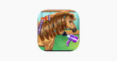 Horse Hair Salon Image