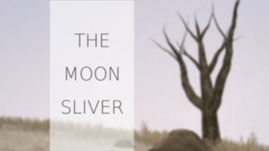 The Moon Sliver Image