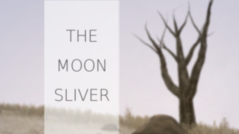 The Moon Sliver Game Cover