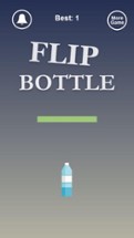 Flip Bottle Mania Image