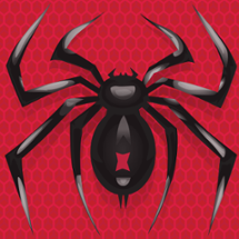 Spider Solitaire: Card Games Image