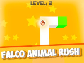 Falco Animal Rush Image