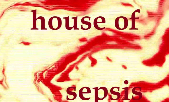 House of Sepsis Game Cover