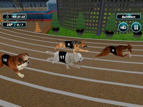 Dog Racing Image