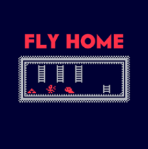 Fly Home Image