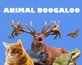 Animal Boogaloo Image