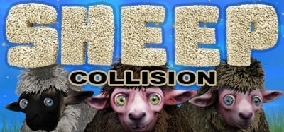 Sheep Collision Image