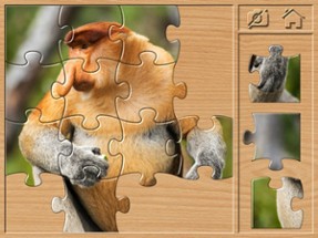 Animal Puzzle for Toddlers 3+ Image