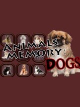 Animals Memory: Dogs Image