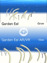 Garden Eel AR/VR Image