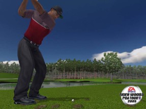 Tiger Woods PGA Tour 2005 Image