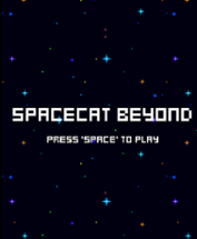 SpaceCat Beyond Image