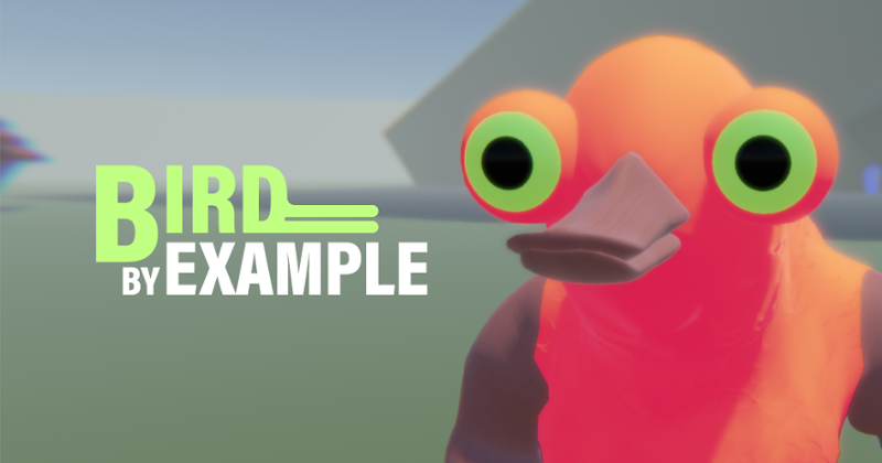 Bird by Example Game Cover