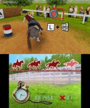 My Western Horse 3D Image