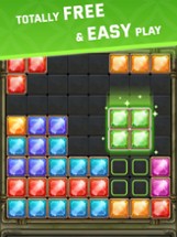 Block Puzzle - Jewel Blast Image