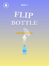 Flip Bottle Mania Image