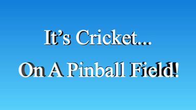 PinBall Cricket Image