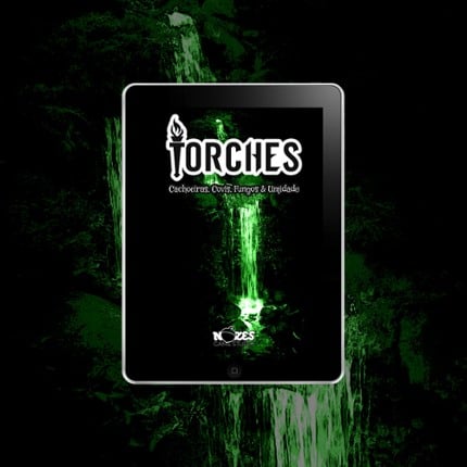 Torches #4 - Waterfalls, Lairs, Fungi & Moisture Game Cover