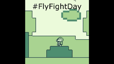 FlyFightTheGame Image