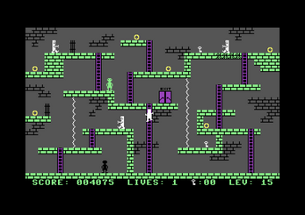 SHADOW SWITCHER (C64) Image