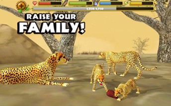 Cheetah Simulator Image