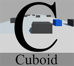 Cuboid Image